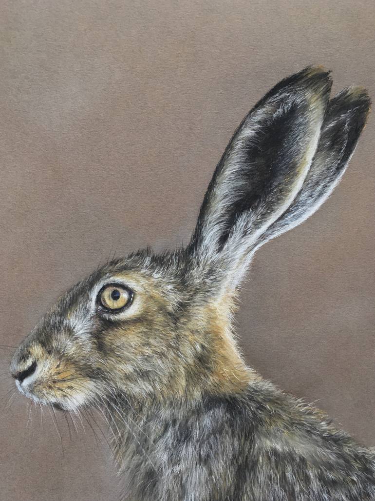 Original Realism Animal Drawing by Juan Pastor de la Puente