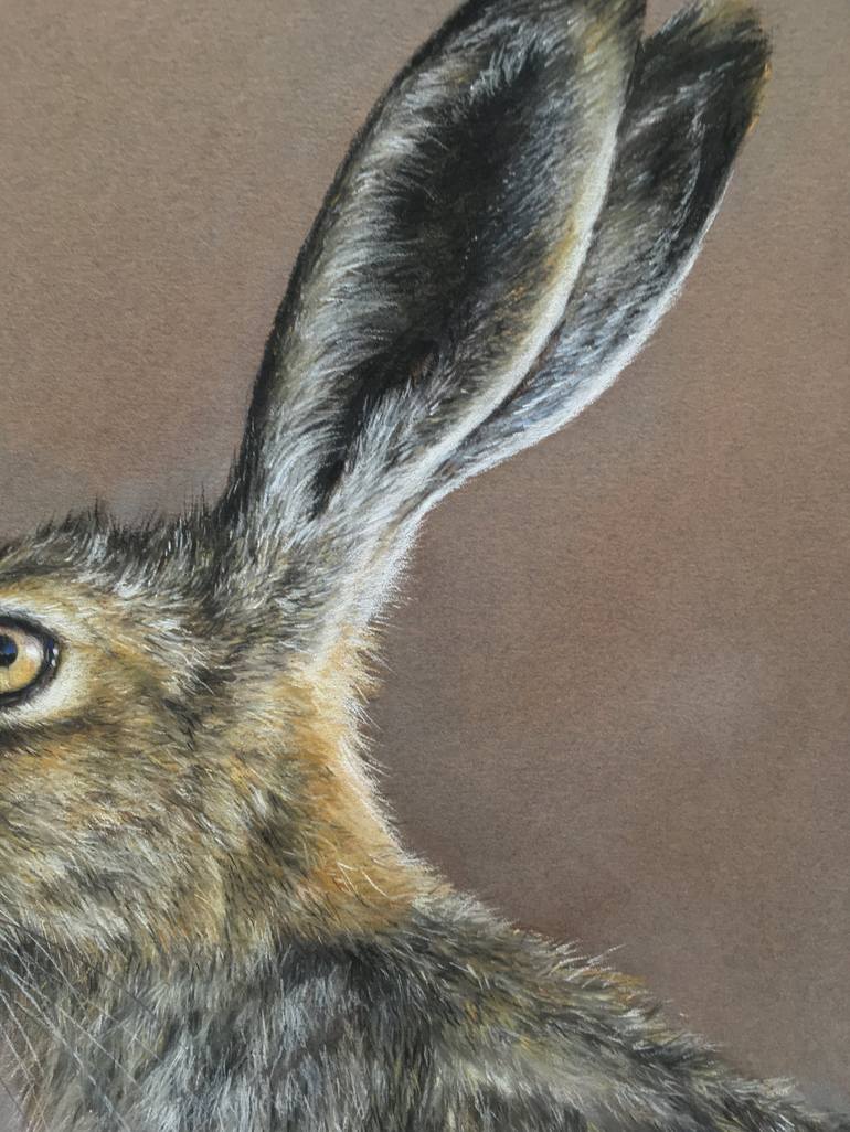 Original Realism Animal Drawing by Juan Pastor de la Puente