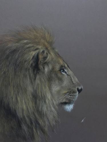 Print of Realism Animal Drawings by Juan Pastor de la Puente