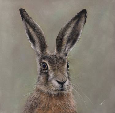 Original Realism Animal Drawings by Juan Pastor de la Puente