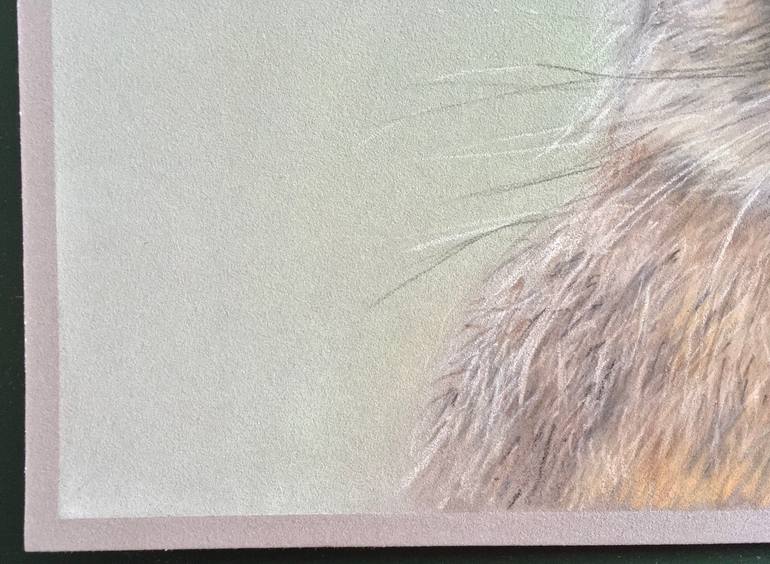 Original Realism Animal Drawing by Juan Pastor De La Puente