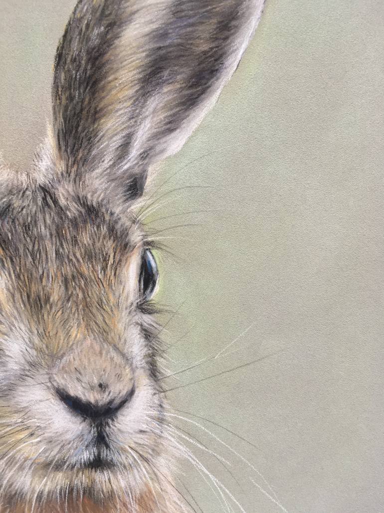 Original Realism Animal Drawing by Juan Pastor De La Puente