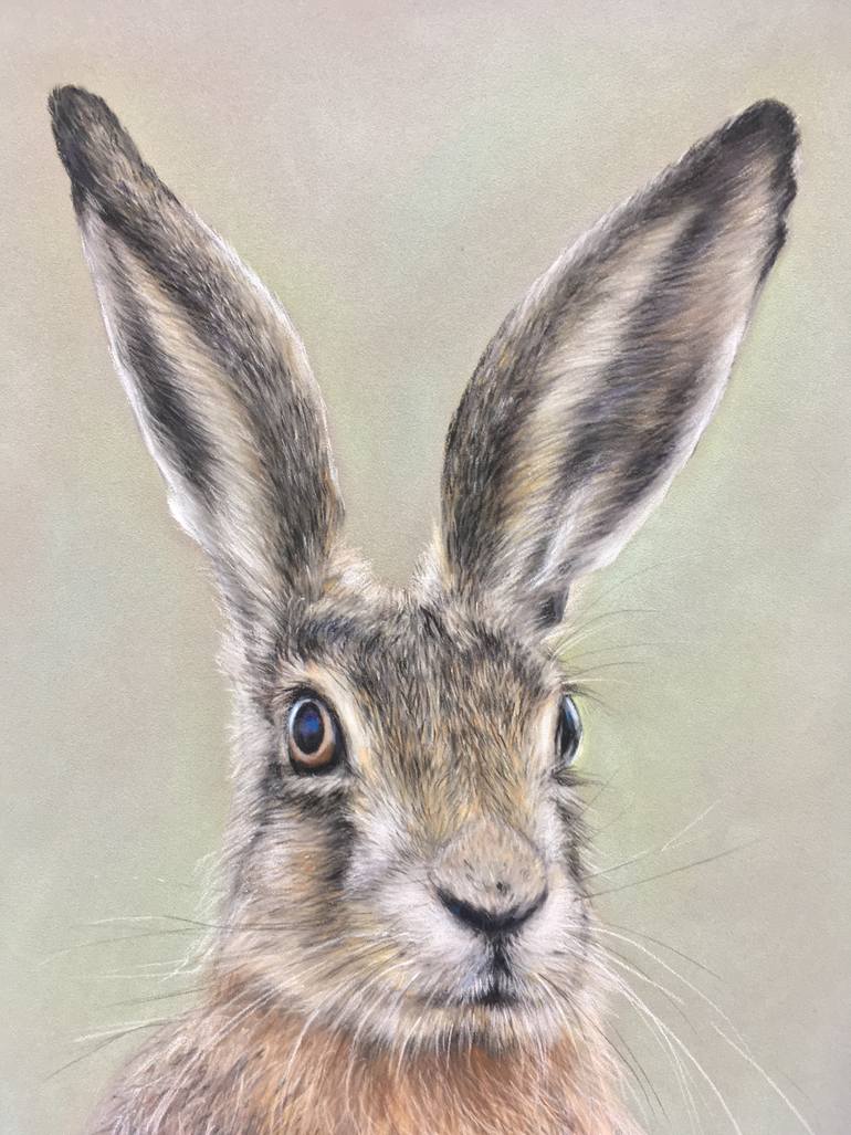 Original Realism Animal Drawing by Juan Pastor De La Puente