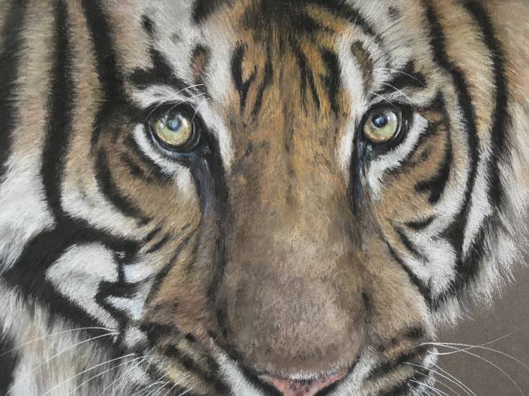 Original Realism Animal Drawing by Juan Pastor de la Puente