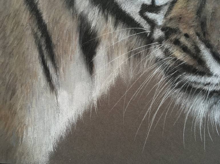 Original Realism Animal Drawing by Juan Pastor de la Puente