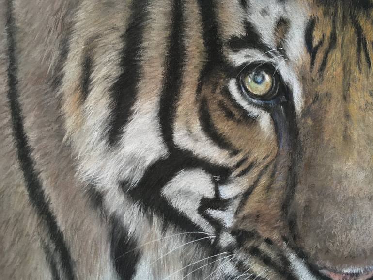 Original Realism Animal Drawing by Juan Pastor de la Puente