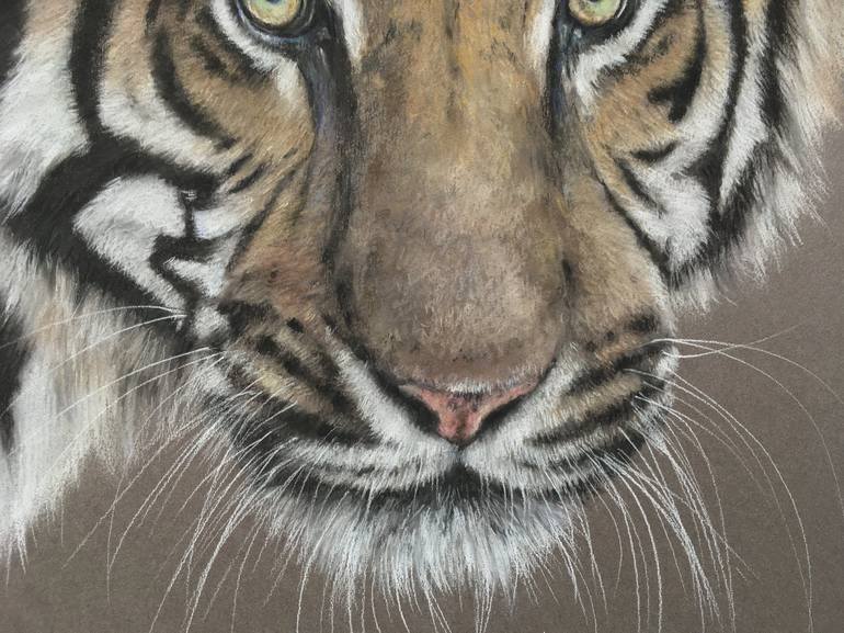 Original Realism Animal Drawing by Juan Pastor de la Puente