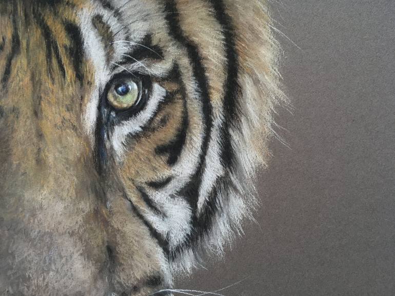 Original Realism Animal Drawing by Juan Pastor de la Puente