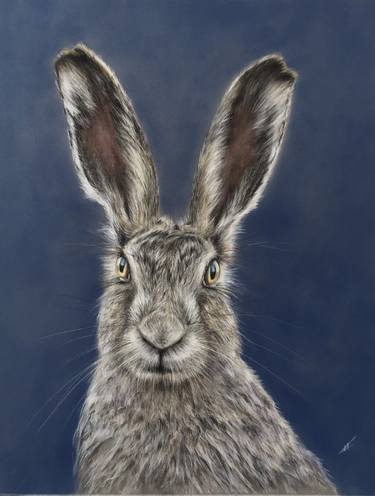 Original Realism Animal Drawings by Juan Pastor de la Puente