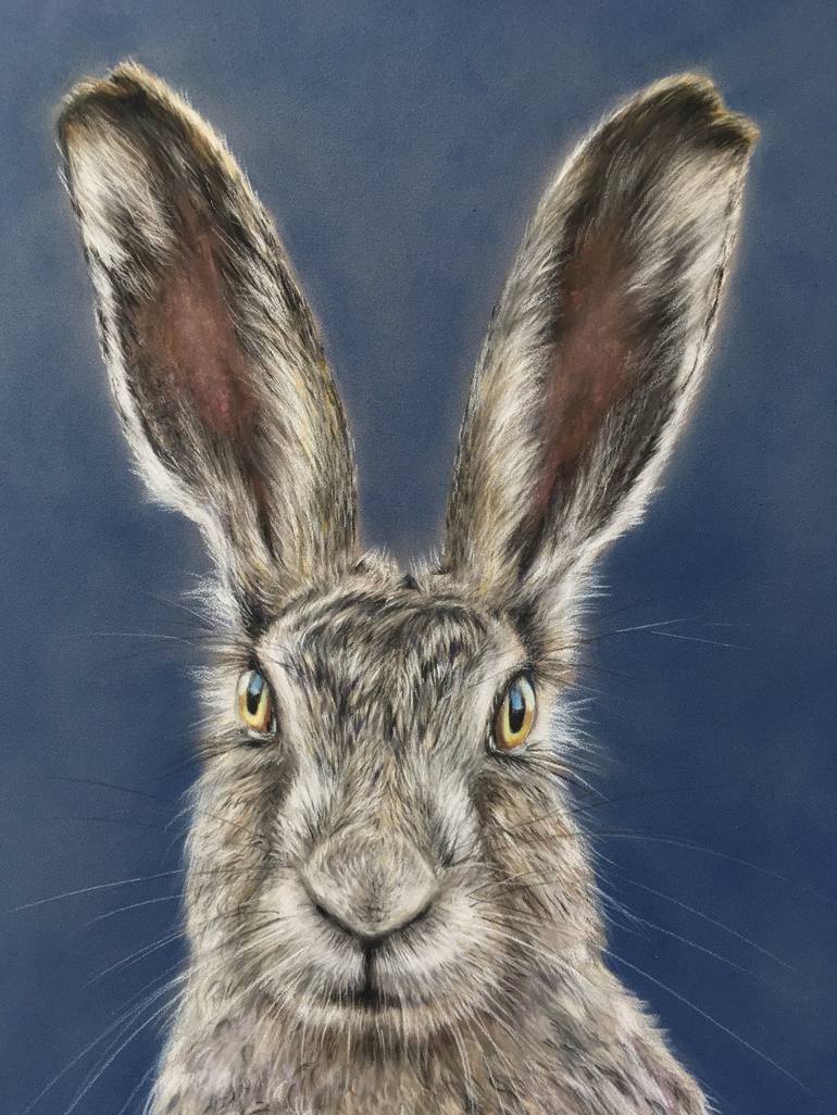 Original Realism Animal Drawing by Juan Pastor de la Puente