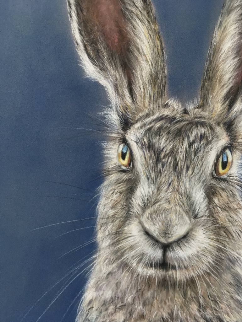 Original Realism Animal Drawing by Juan Pastor de la Puente