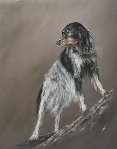 Original Realism Animal Drawings by Juan Pastor de la Puente