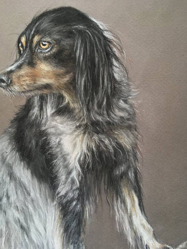 Original Realism Animal Drawing by Juan Pastor de la Puente