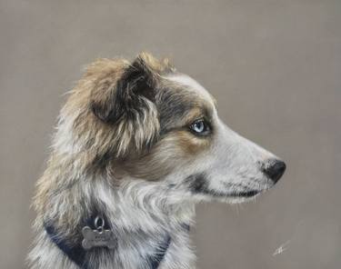 Original Realism Animal Drawings by Juan Pastor de la Puente