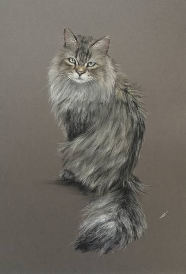 Original Realism Animal Drawings by Juan Pastor de la Puente