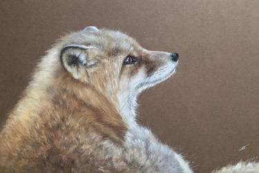 Original Realism Animal Drawings by Juan Pastor de la Puente