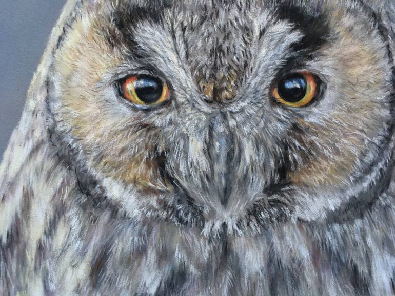 Original Realism Animal Drawing by Juan Pastor De La Puente