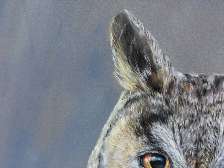 Original Realism Animal Drawing by Juan Pastor De La Puente