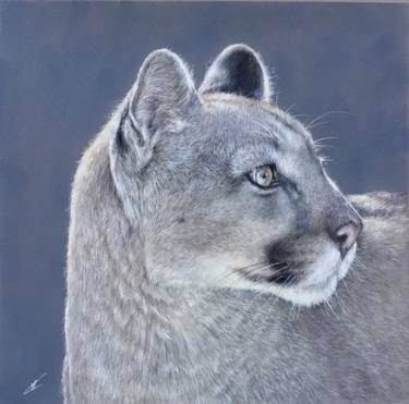 Original Realism Animal Drawings by Juan Pastor de la Puente