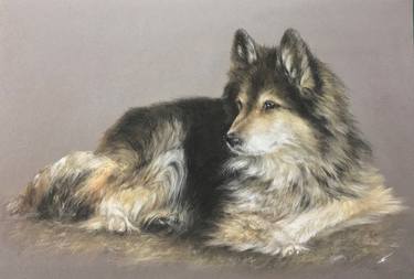 Original Realism Animal Drawings by Juan Pastor de la Puente