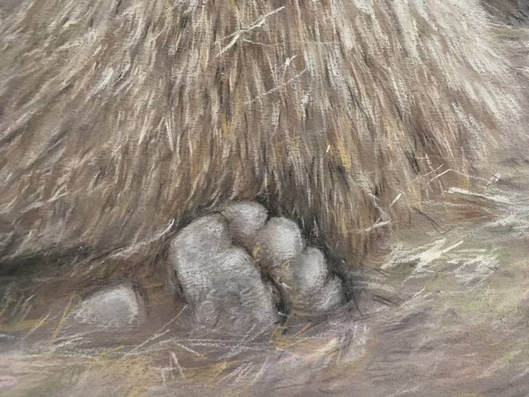 Original Realism Animal Drawing by Juan Pastor De La Puente