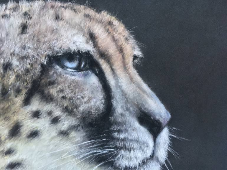 Original Realism Animal Drawing by Juan Pastor de la Puente