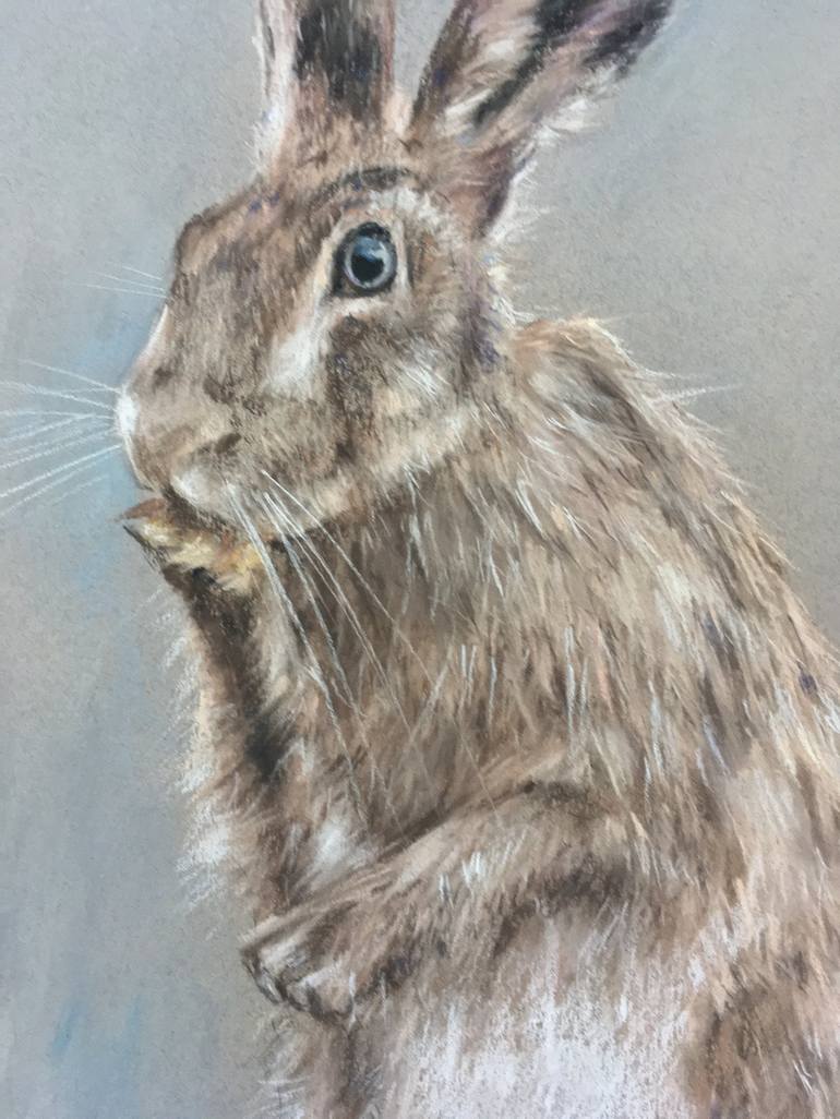 Original Realism Animal Drawing by Juan Pastor de la Puente