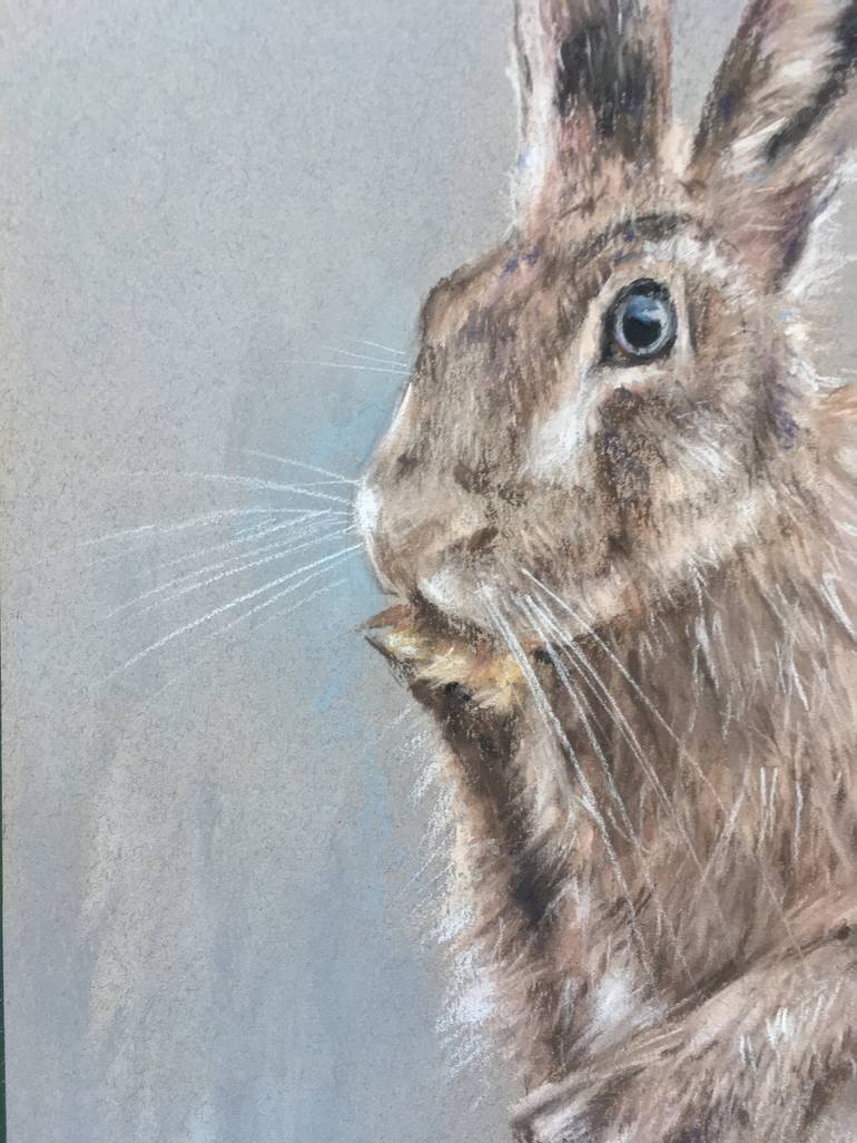 Original Realism Animal Drawing by Juan Pastor de la Puente