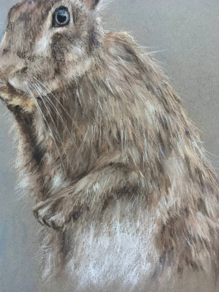 Original Realism Animal Drawing by Juan Pastor de la Puente