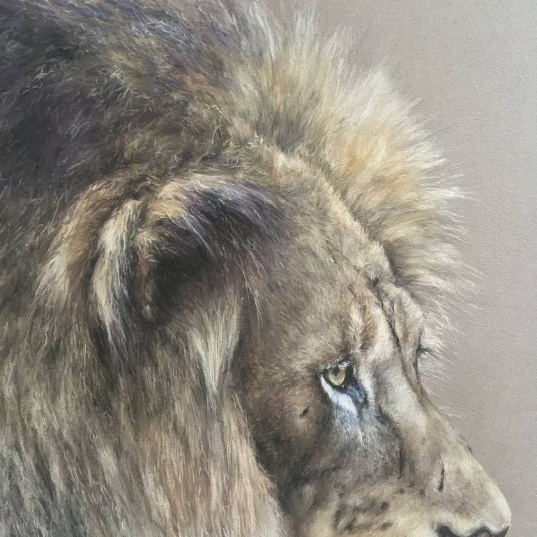 Original Realism Animal Drawing by Juan Pastor de la Puente