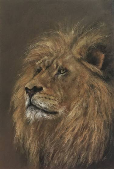 Lion portrait. thumb