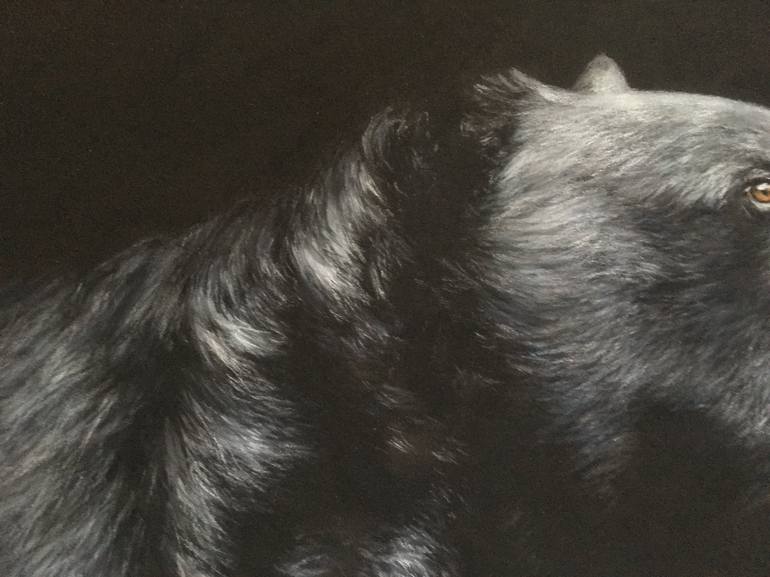 Original Realism Animal Drawing by Juan Pastor de la Puente