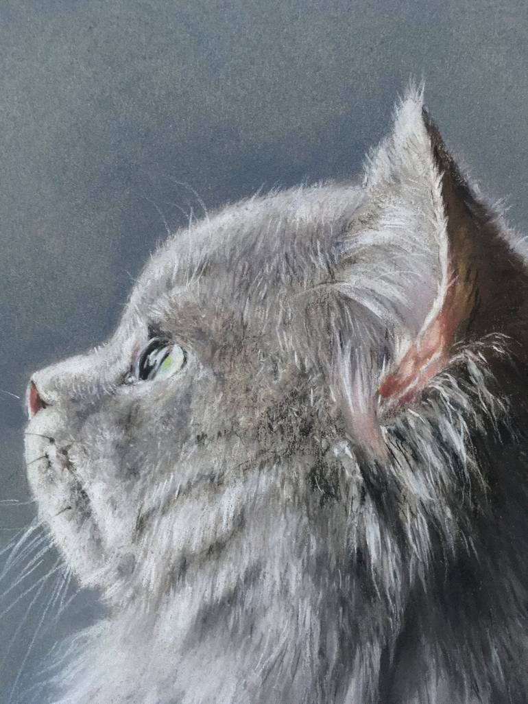 Original Realism Animal Drawing by Juan Pastor de la Puente