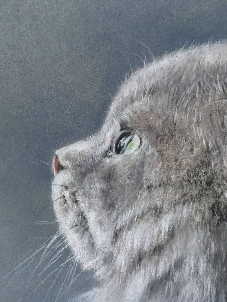 Original Realism Animal Drawing by Juan Pastor de la Puente