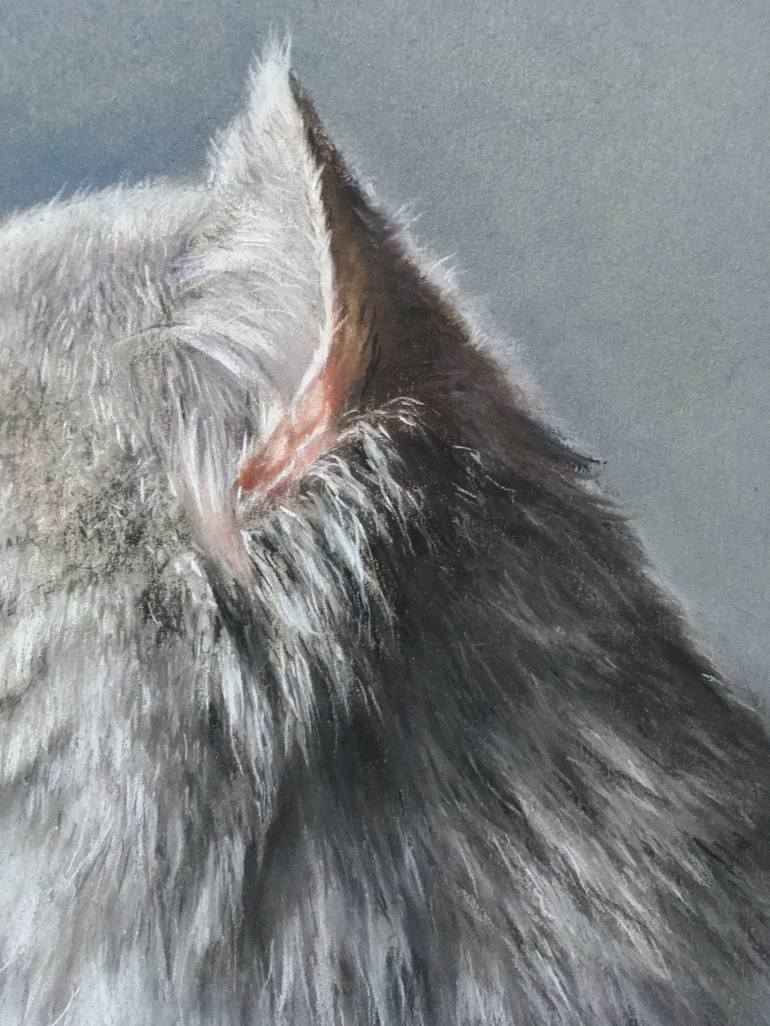 Original Realism Animal Drawing by Juan Pastor de la Puente