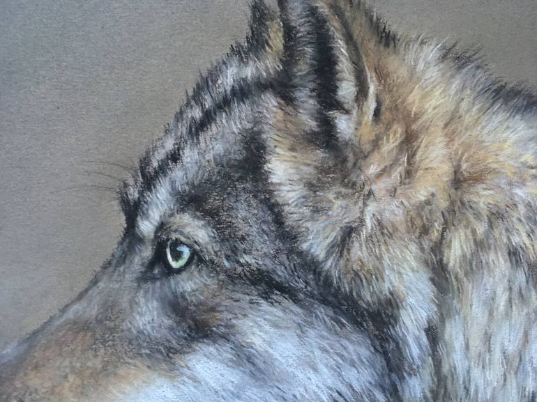 Original Realism Animal Drawing by Juan Pastor de la Puente