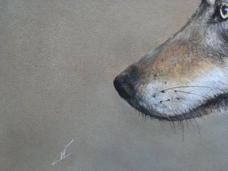 Original Realism Animal Drawing by Juan Pastor de la Puente