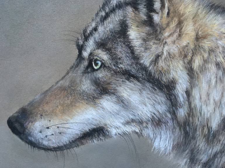 Original Realism Animal Drawing by Juan Pastor de la Puente