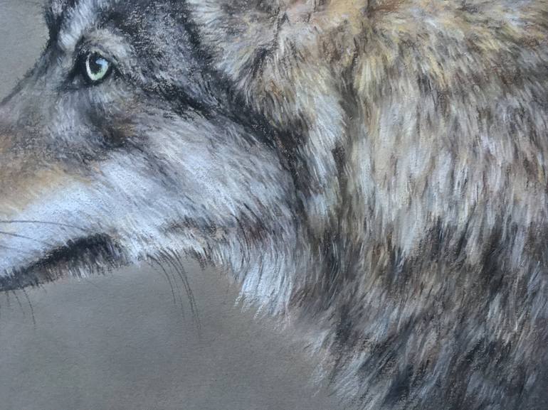 Original Realism Animal Drawing by Juan Pastor de la Puente