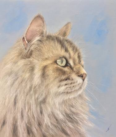 Original Realism Animal Drawings by Juan Pastor de la Puente