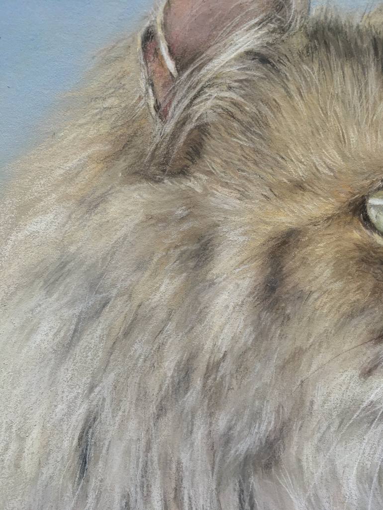 Original Realism Animal Drawing by Juan Pastor De La Puente