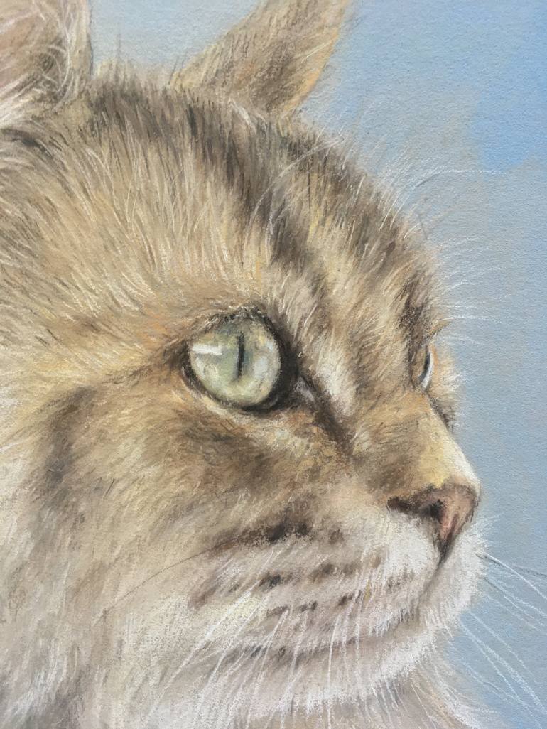 Original Realism Animal Drawing by Juan Pastor de la Puente