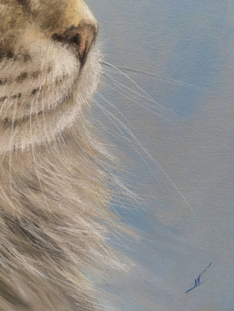 Original Realism Animal Drawing by Juan Pastor De La Puente