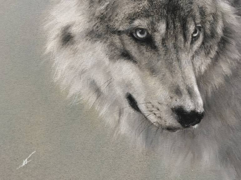 Original Realism Animal Drawing by Juan Pastor de la Puente