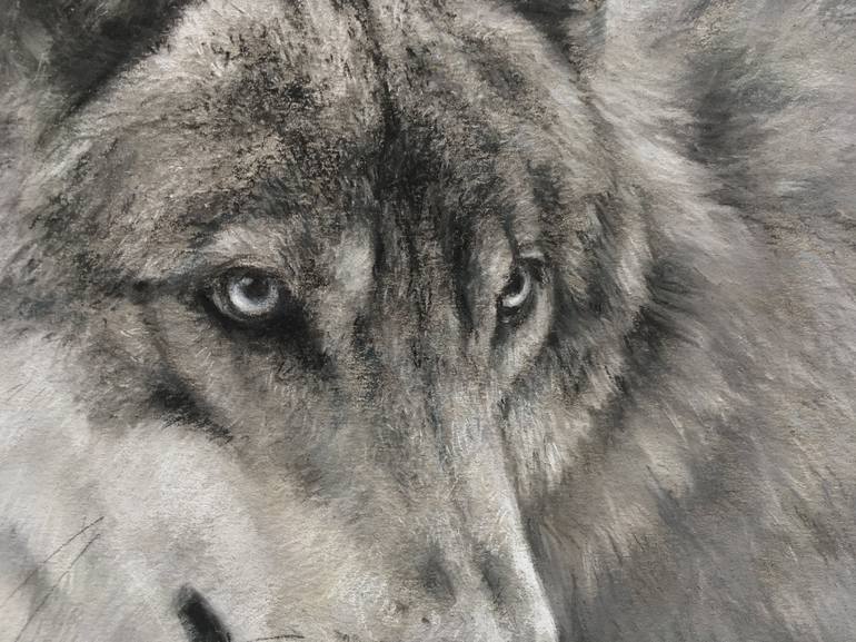 Original Realism Animal Drawing by Juan Pastor de la Puente