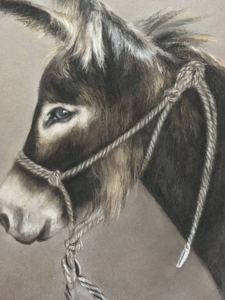 Original Realism Animal Drawing by Juan Pastor de la Puente