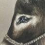 view additional image 6