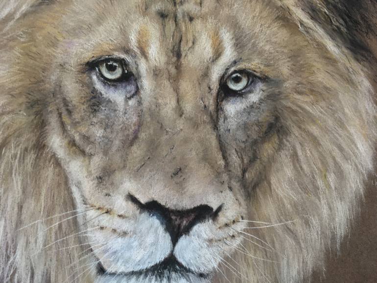 Original Realism Animal Drawing by Juan Pastor de la Puente