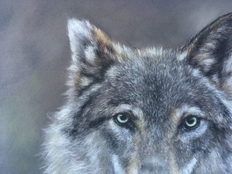 Original Realism Animal Drawing by Juan Pastor De La Puente