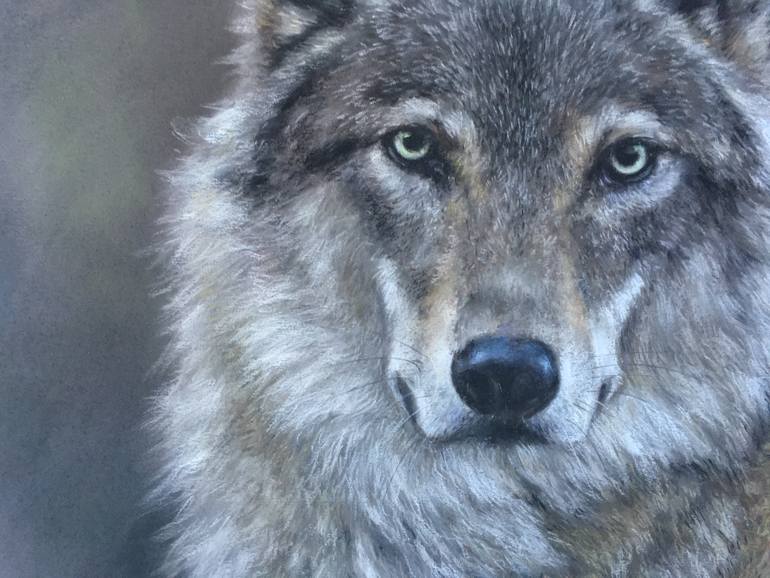 Original Realism Animal Drawing by Juan Pastor De La Puente